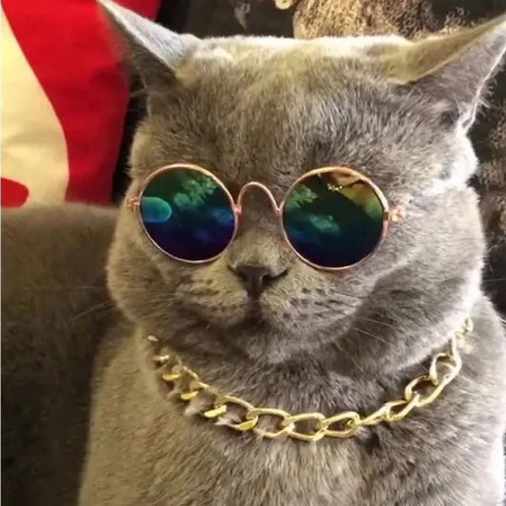 Rainbow pet sunglasses